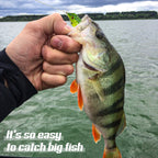 Set de 9 Señuelos Rana