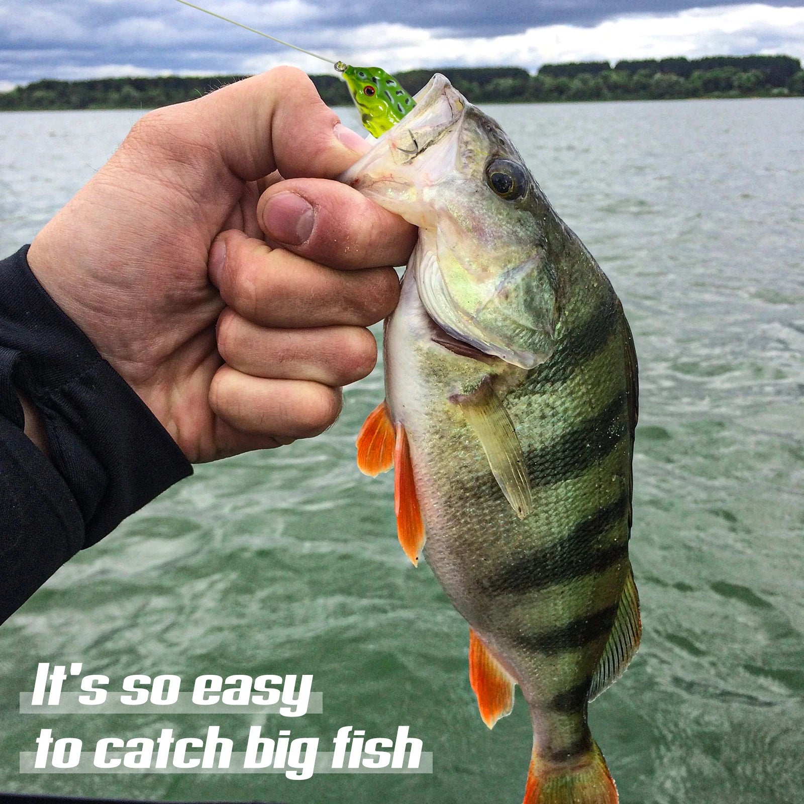 Set de 9 Señuelos Rana