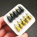 Set de 6/10 Moscas de Pesca