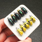 Set de 6/10 Moscas de Pesca